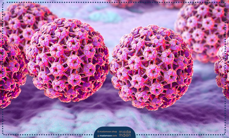 گروه کم‌ خطر به ویروس HPV6 و ویروس HPV11 دچار هستند